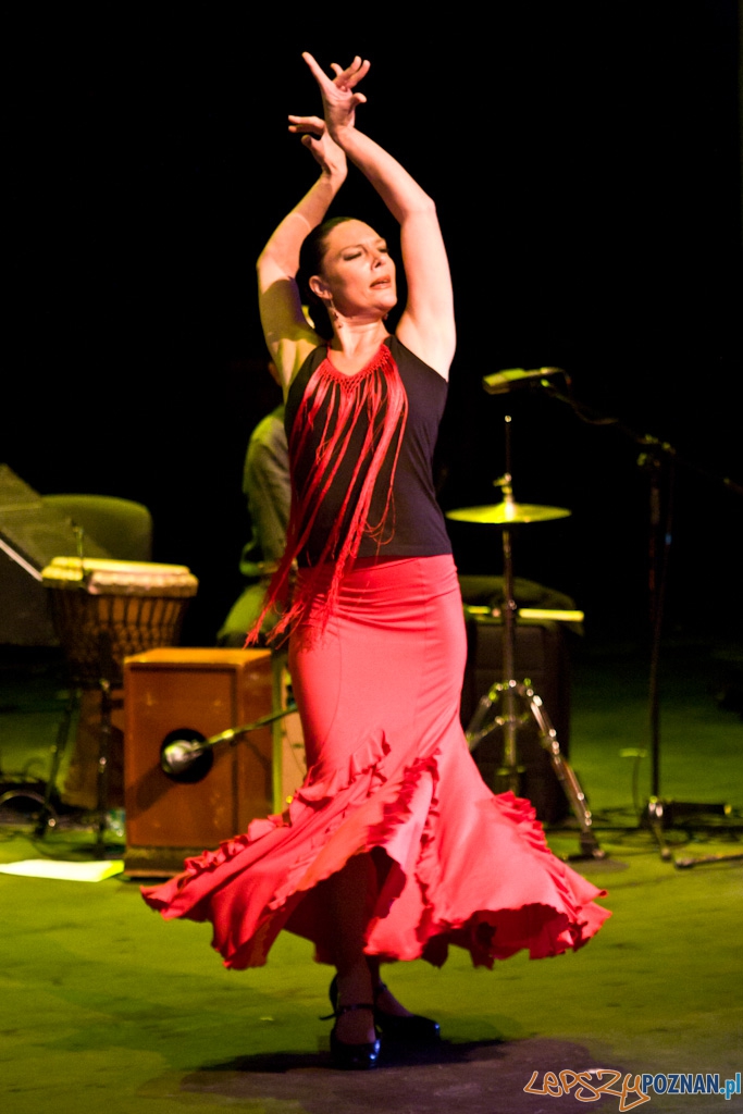 DUENDE Miêdzynarodowy Festiwal Flamenco CANIZARES Foto: Piotr Rychter DUENDE Miêdzynarodowy Festiwal Flamenco CANIZARES Foto: Piotr Rychter