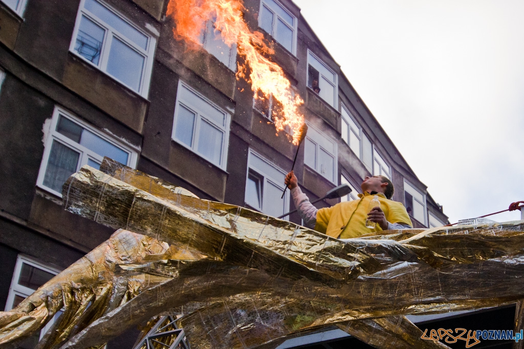 Imieniny Ulicy Foto: Piotr Rychter Imieniny Ulicy Foto: Piotr Rychter