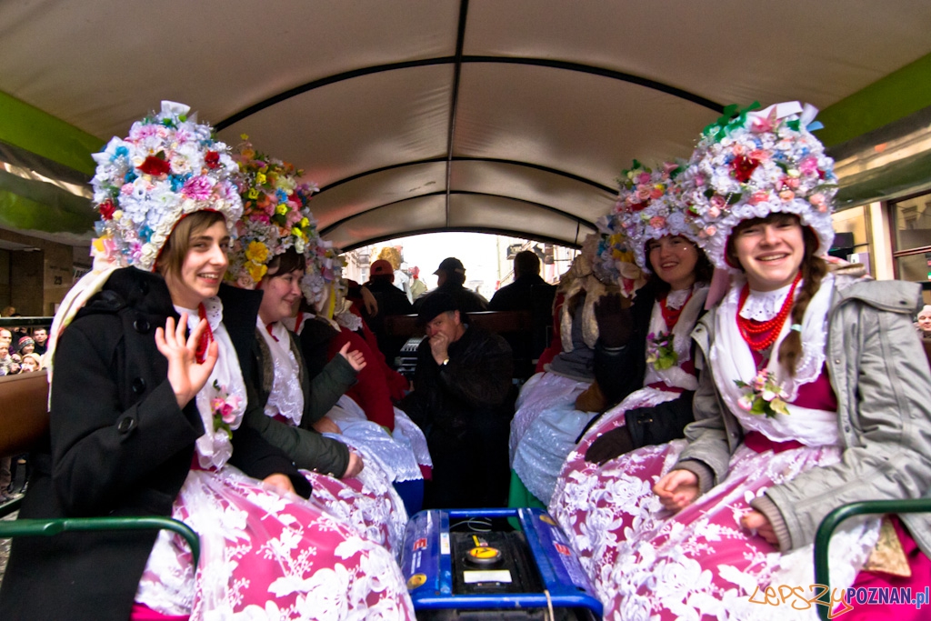 Imieniny Ulicy Foto: Piotr Rychter Imieniny Ulicy Foto: Piotr Rychter