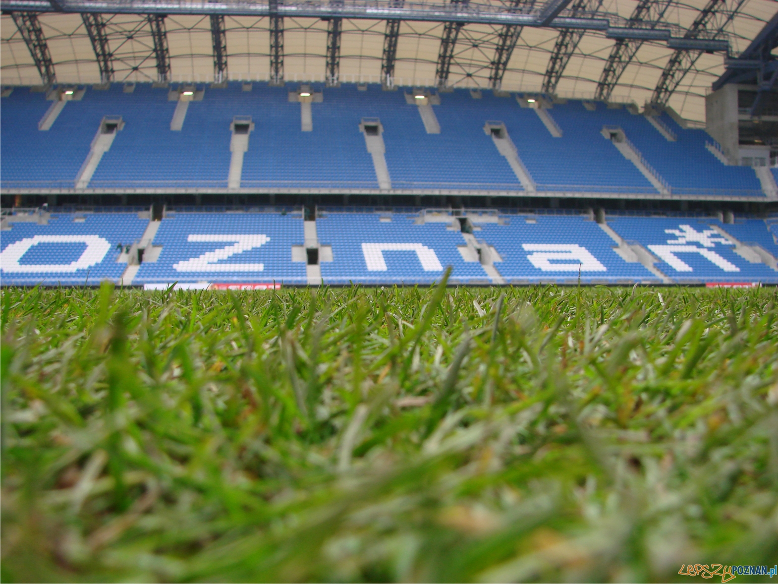 murawa na Bułgarskiej  Foto: lepszyPOZNAN.pl / ag