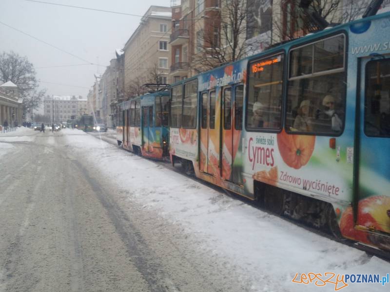 Bimby stoją na ul. 27 Grudnia - tak jest od czasu do czasu... Foto: lepszyPOZNAN.pl / gsm Bimby stoją na ul. 27 Grudnia - tak jest od czasu do czasu... Foto: lepszyPOZNAN.pl / gsm