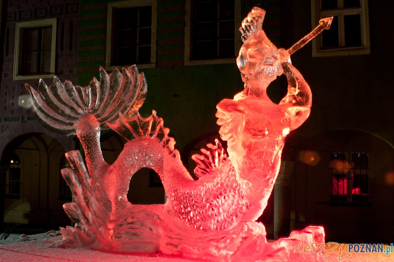 V Festiwal Rzeźb Lodowych w Poznaniu - 12.12.2010 r. Foto: Paweł Rychter V Festiwal Rzeźb Lodowych w Poznaniu - 12.12.2010 r. Foto: Paweł Rychter