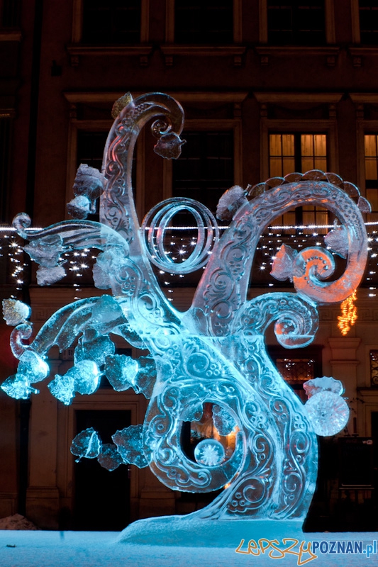 V Festiwal Rzeźb Lodowych w Poznaniu - 12.12.2010 r. Foto: Paweł Rychter V Festiwal Rzeźb Lodowych w Poznaniu - 12.12.2010 r. Foto: Paweł Rychter