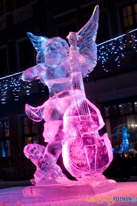 V Festiwal Rzeźb Lodowych w Poznaniu - 12.12.2010 r. Foto: Paweł Rychter V Festiwal Rzeźb Lodowych w Poznaniu - 12.12.2010 r. Foto: Paweł Rychter