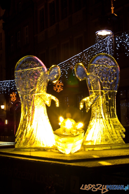 V Festiwal Rzeźb Lodowych w Poznaniu - 12.12.2010 r. Foto: Paweł Rychter V Festiwal Rzeźb Lodowych w Poznaniu - 12.12.2010 r. Foto: Paweł Rychter