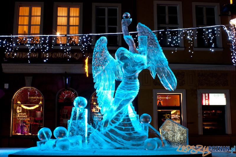 V Festiwal Rzeźb Lodowych w Poznaniu - 12.12.2010 r. Foto: Paweł Rychter V Festiwal Rzeźb Lodowych w Poznaniu - 12.12.2010 r. Foto: Paweł Rychter