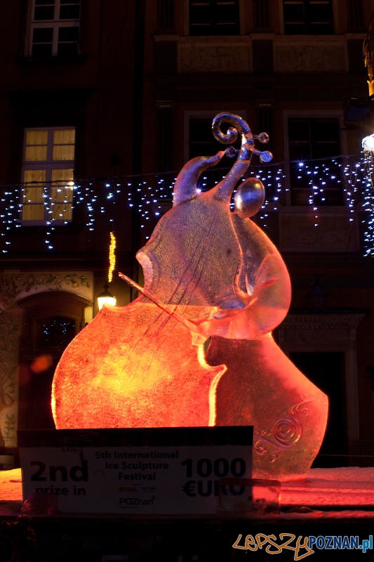 V Festiwal Rzeźb Lodowych w Poznaniu - 12.12.2010 r. Foto: Paweł Rychter V Festiwal Rzeźb Lodowych w Poznaniu - 12.12.2010 r. Foto: Paweł Rychter