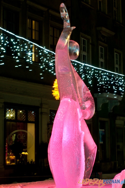 V Festiwal Rzeźb Lodowych w Poznaniu - 12.12.2010 r. Foto: Paweł Rychter V Festiwal Rzeźb Lodowych w Poznaniu - 12.12.2010 r. Foto: Paweł Rychter