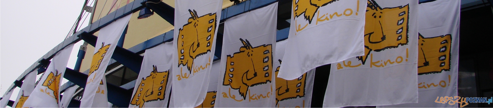 panorama ale kino Foto: lepszyPOZNAN panorama ale kino Foto: lepszyPOZNAN