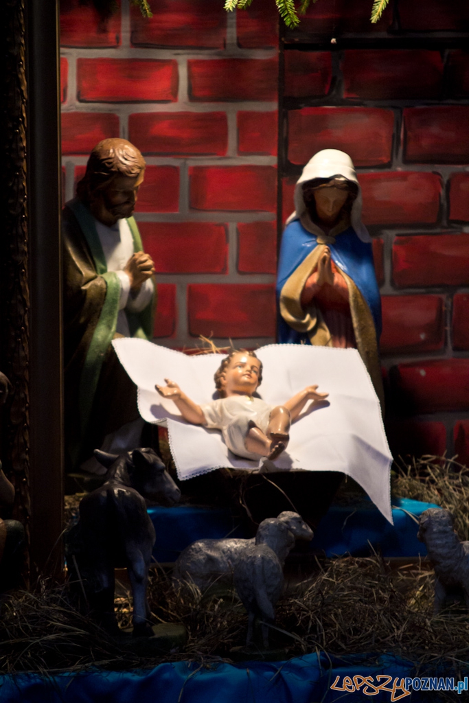 Szopki bożonarodzeniowe - Kościół Farny Foto: Piotr Rychter Szopki bożonarodzeniowe - Kościół Farny Foto: Piotr Rychter