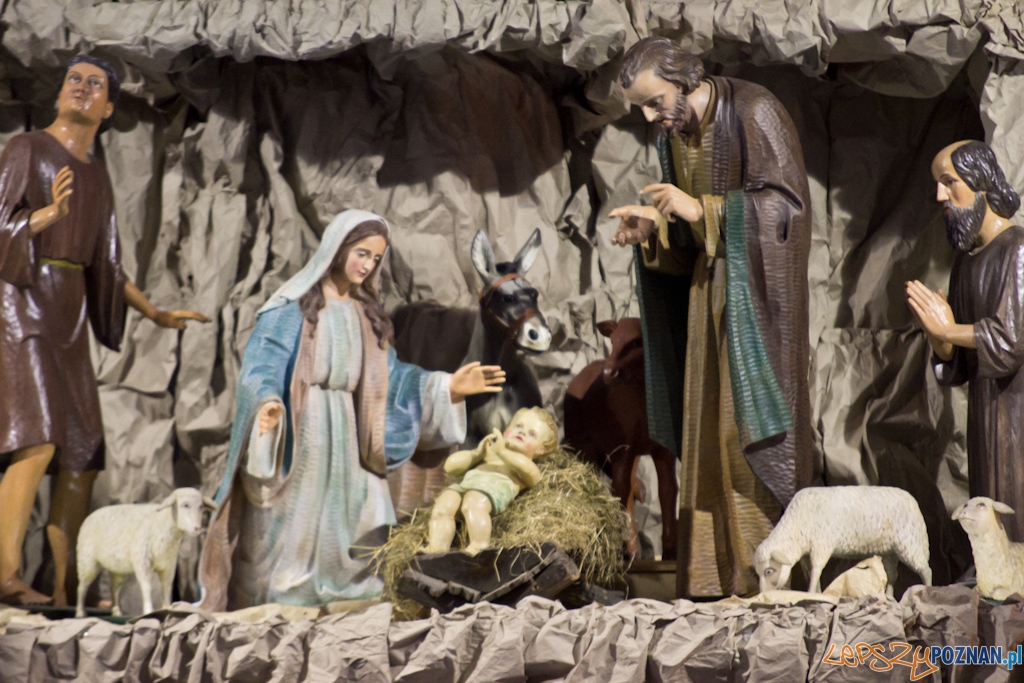 Szopki bożonarodzeniowe - Kościół św. Franciszka Serafickiego (bernardynów) Foto: Piotr Rychter Szopki bożonarodzeniowe - Kościół św. Franciszka Serafickiego (bernardynów) Foto: Piotr Rychter