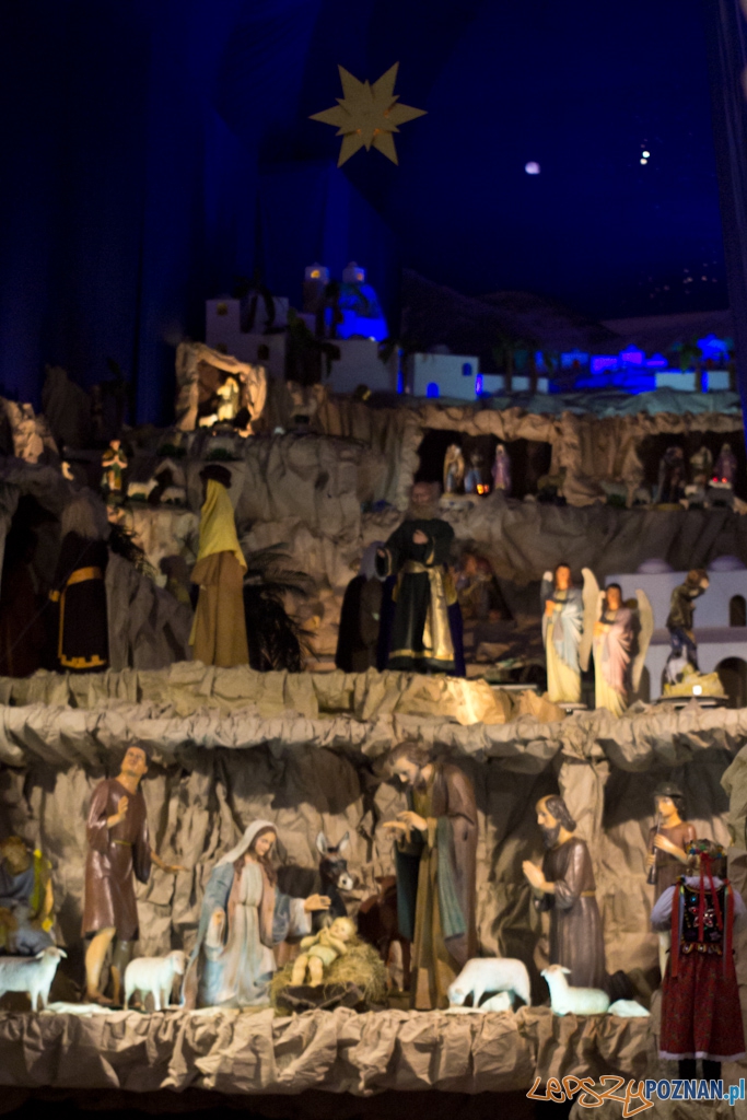Szopki bożonarodzeniowe - Kościół św. Franciszka Serafickiego (bernardynów) Foto: Piotr Rychter Szopki bożonarodzeniowe - Kościół św. Franciszka Serafickiego (bernardynów) Foto: Piotr Rychter