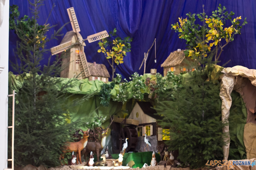 Szopki bożonarodzeniowe - Kościół św. Franciszka Serafickiego (bernardynów) Foto: Piotr Rychter Szopki bożonarodzeniowe - Kościół św. Franciszka Serafickiego (bernardynów) Foto: Piotr Rychter