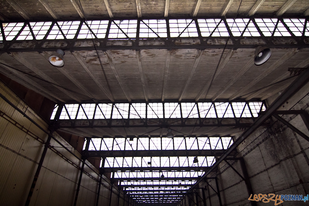 Zajezdnia tramwajowa na ul. Gajowej Foto: Piotr Rychter Zajezdnia tramwajowa na ul. Gajowej Foto: Piotr Rychter