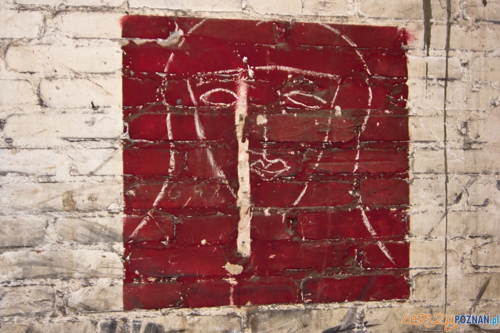 Zajezdnia tramwajowa na ul. Gajowej Foto: Piotr Rychter Zajezdnia tramwajowa na ul. Gajowej Foto: Piotr Rychter