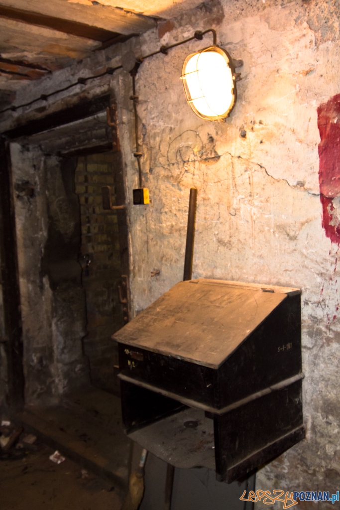 Zajezdnia tramwajowa na ul. Gajowej Foto: Piotr Rychter Zajezdnia tramwajowa na ul. Gajowej Foto: Piotr Rychter