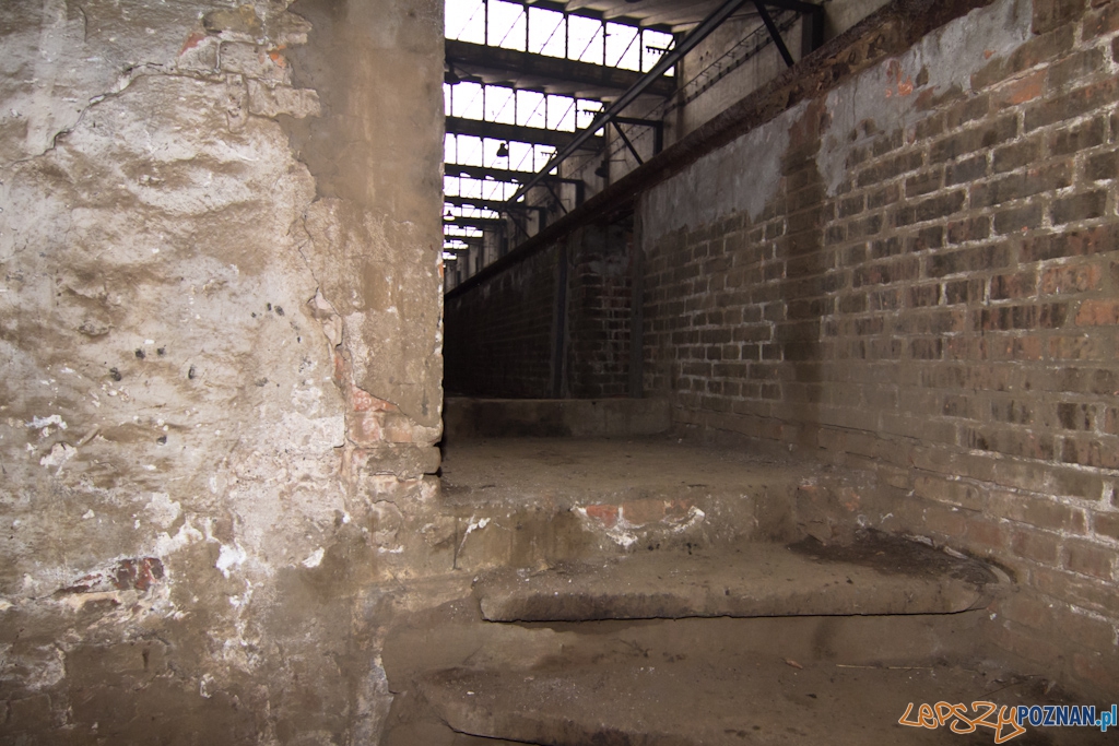 Zajezdnia tramwajowa na ul. Gajowej Foto: Piotr Rychter Zajezdnia tramwajowa na ul. Gajowej Foto: Piotr Rychter