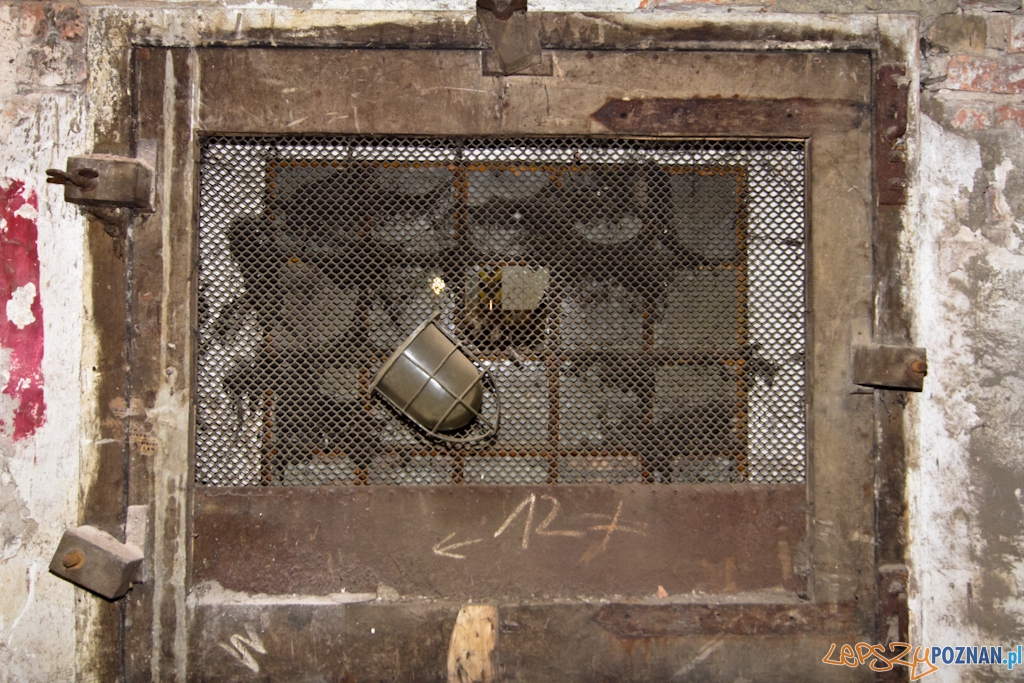 Zajezdnia tramwajowa na ul. Gajowej Foto: Piotr Rychter Zajezdnia tramwajowa na ul. Gajowej Foto: Piotr Rychter