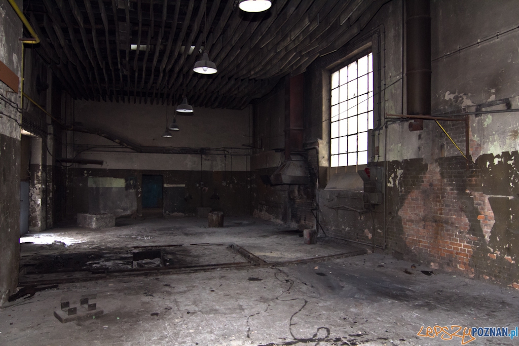 Zajezdnia tramwajowa na ul. Gajowej Foto: Piotr Rychter Zajezdnia tramwajowa na ul. Gajowej Foto: Piotr Rychter