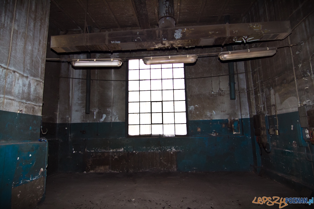 Zajezdnia tramwajowa na ul. Gajowej Foto: Piotr Rychter Zajezdnia tramwajowa na ul. Gajowej Foto: Piotr Rychter