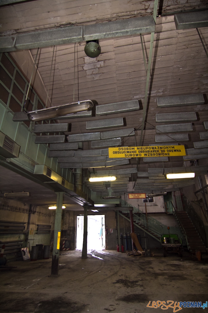 Zajezdnia tramwajowa na ul. Gajowej Foto: Piotr Rychter Zajezdnia tramwajowa na ul. Gajowej Foto: Piotr Rychter