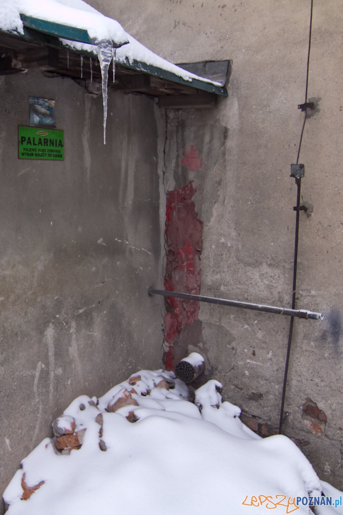 Zajezdnia tramwajowa na ul. Gajowej Foto: Piotr Rychter Zajezdnia tramwajowa na ul. Gajowej Foto: Piotr Rychter