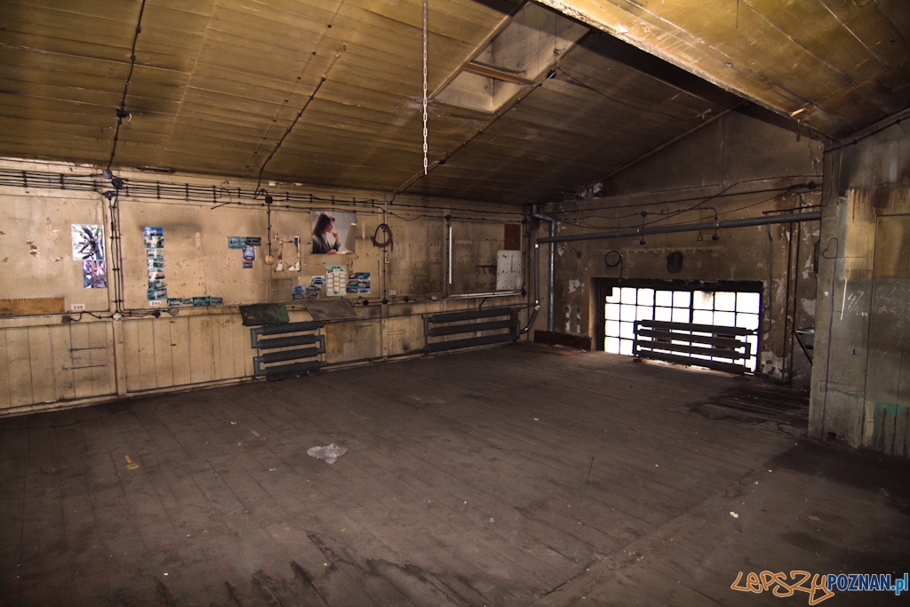 Zajezdnia tramwajowa na ul. Gajowej Foto: Piotr Rychter Zajezdnia tramwajowa na ul. Gajowej Foto: Piotr Rychter