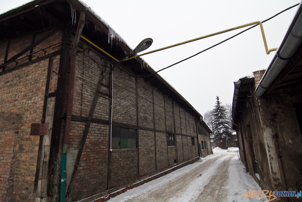 Zajezdnia tramwajowa na ul. Gajowej Foto: Piotr Rychter Zajezdnia tramwajowa na ul. Gajowej Foto: Piotr Rychter