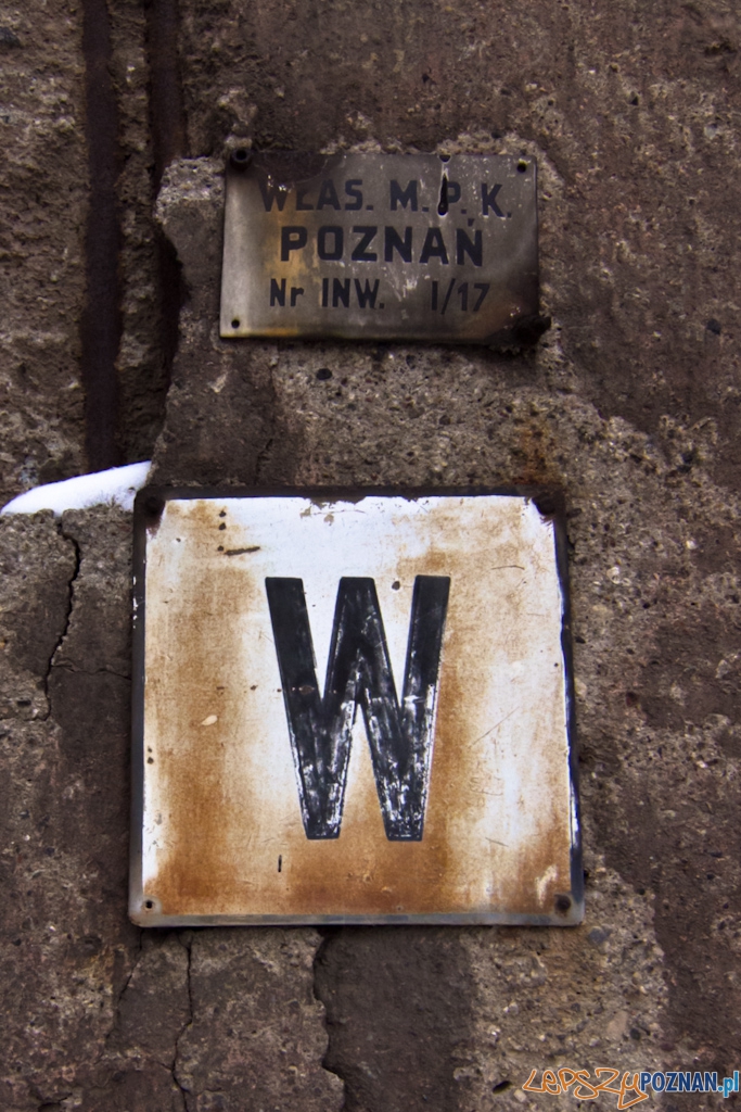 Zajezdnia tramwajowa na ul. Gajowej Foto: Piotr Rychter Zajezdnia tramwajowa na ul. Gajowej Foto: Piotr Rychter