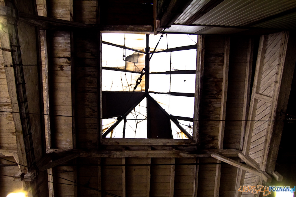 Zajezdnia tramwajowa na ul. Gajowej Foto: Piotr Rychter Zajezdnia tramwajowa na ul. Gajowej Foto: Piotr Rychter