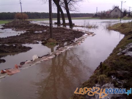 podtopienia w okolicach Koła Foto: mł. kpt. Marek Guzowski podtopienia w okolicach Koła Foto: mł. kpt. Marek Guzowski