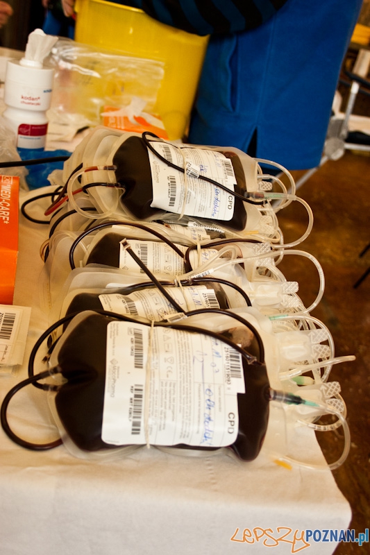 XIX finału WOŚP - CK Zamek - 09.01.2011 r. Foto: lepszyPOZNAN.pl / Paweł Rychter XIX finału WOŚP - CK Zamek - 09.01.2011 r. Foto: lepszyPOZNAN.pl / Paweł Rychter