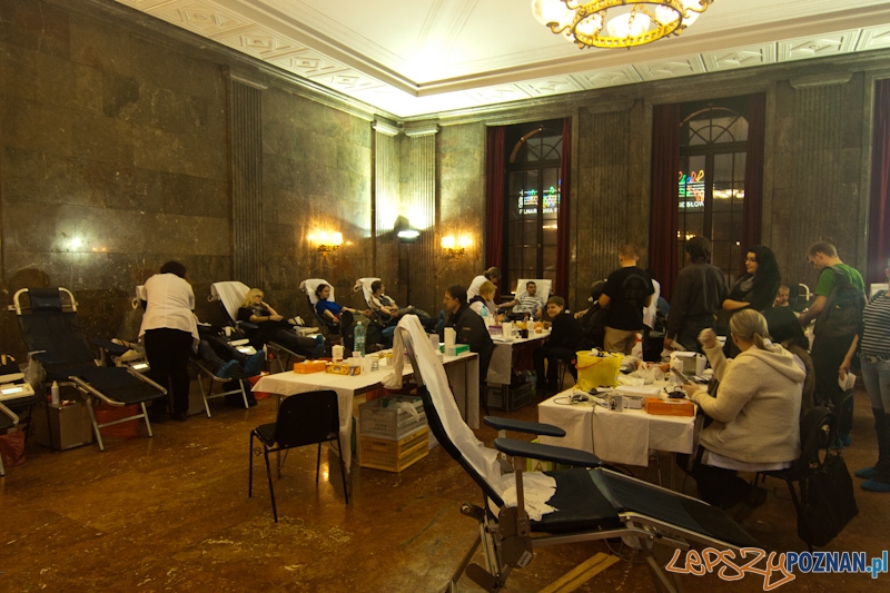 XIX_wosp_20110109_039 Foto: XIX_wosp_20110109_039 Foto: