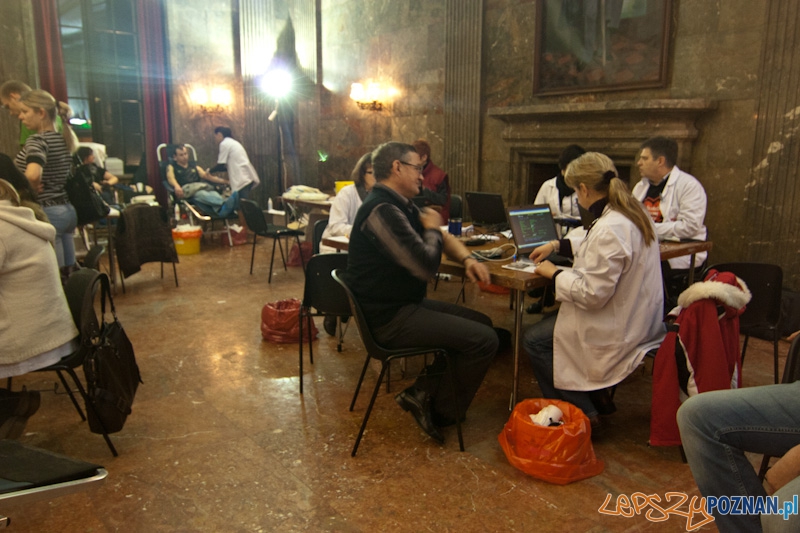 XIX_wosp_20110109_040 Foto: XIX_wosp_20110109_040 Foto: