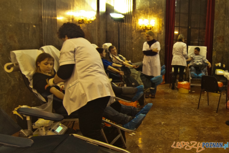 XIX_wosp_20110109_041 Foto: XIX_wosp_20110109_041 Foto: