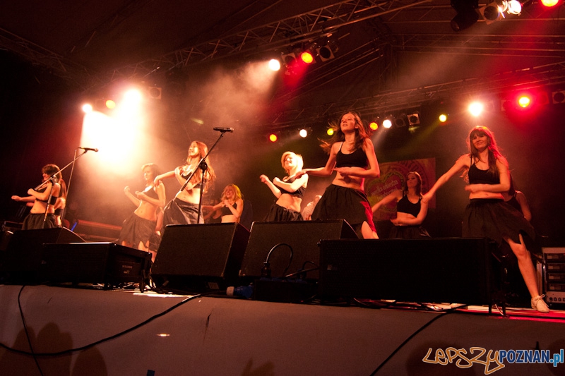 XIX_wosp_20110109_044 Foto: XIX_wosp_20110109_044 Foto: