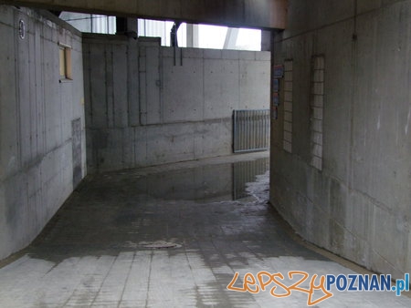 Wizytacja stadionu przy Bułgarskiej Foto: Komenda Wojewódzka Policji w Poznaniu Wizytacja stadionu przy Bułgarskiej Foto: Komenda Wojewódzka Policji w Poznaniu