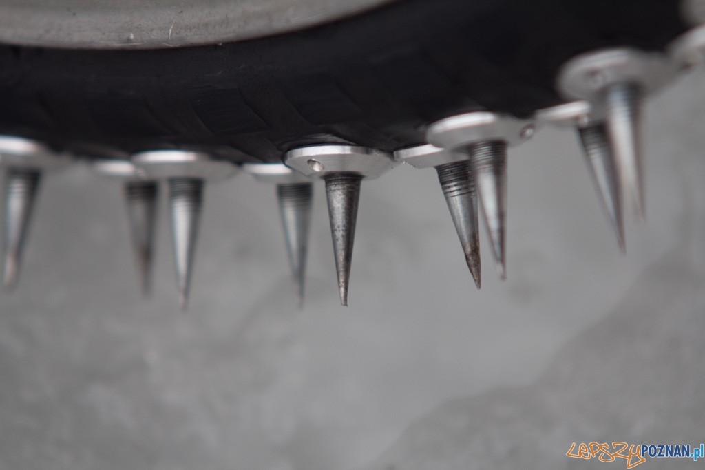 ICE Racing - Poznańskie Koziołki - 8.01.2011 r. Malta Foto: Piotr Rychter ICE Racing - Poznańskie Koziołki - 8.01.2011 r. Malta Foto: Piotr Rychter