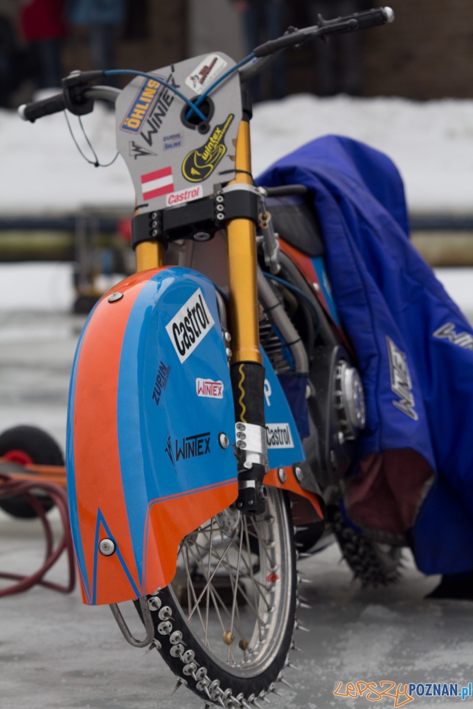 ICE Racing - Poznańskie Koziołki - 8.01.2011 r. Malta Foto: Piotr Rychter ICE Racing - Poznańskie Koziołki - 8.01.2011 r. Malta Foto: Piotr Rychter