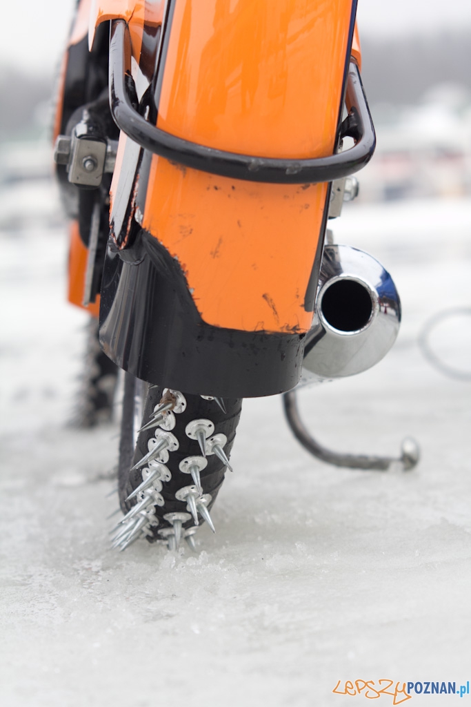 ICE Racing - Poznańskie Koziołki - 8.01.2011 r. Malta Foto: Piotr Rychter ICE Racing - Poznańskie Koziołki - 8.01.2011 r. Malta Foto: Piotr Rychter