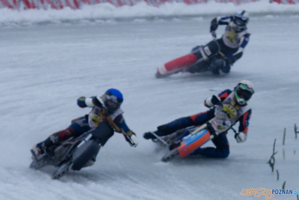 ICE Racing - Poznańskie Koziołki - 8.01.2011 r. Malta Foto: Piotr Rychter ICE Racing - Poznańskie Koziołki - 8.01.2011 r. Malta Foto: Piotr Rychter