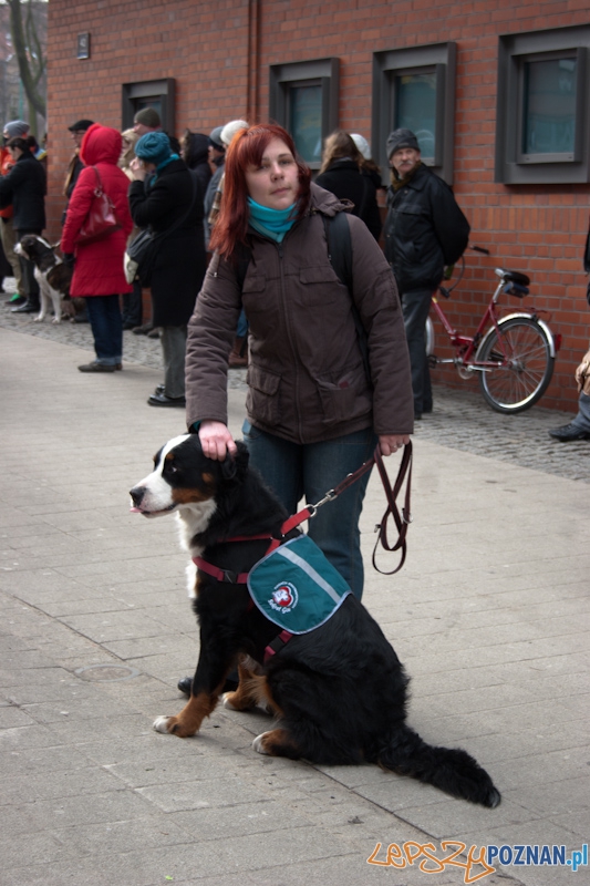Marsz (NIE) Milczenia w obronie praw zwierząt - 13.02.2011 r.> Foto: LepszyPOZNAN.pl / Paweł Rychter Marsz (NIE) Milczenia w obronie praw zwierząt - 13.02.2011 r.> Foto: LepszyPOZNAN.pl / Paweł Rychter