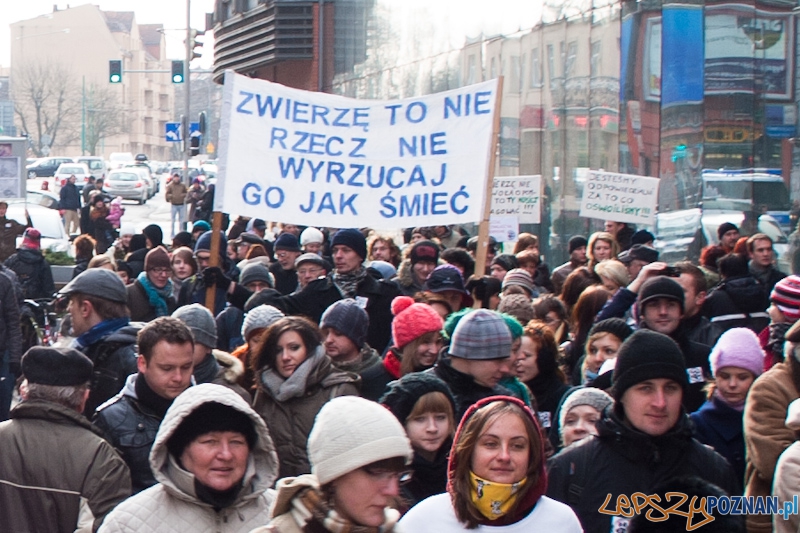 Marsz (NIE) Milczenia w obronie praw zwierząt - 13.02.2011 r.> Foto: LepszyPOZNAN.pl / Paweł Rychter Marsz (NIE) Milczenia w obronie praw zwierząt - 13.02.2011 r.> Foto: LepszyPOZNAN.pl / Paweł Rychter