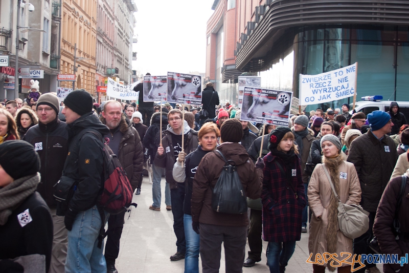 Marsz (NIE) Milczenia w obronie praw zwierząt - 13.02.2011 r.> Foto: LepszyPOZNAN.pl / Paweł Rychter Marsz (NIE) Milczenia w obronie praw zwierząt - 13.02.2011 r.> Foto: LepszyPOZNAN.pl / Paweł Rychter