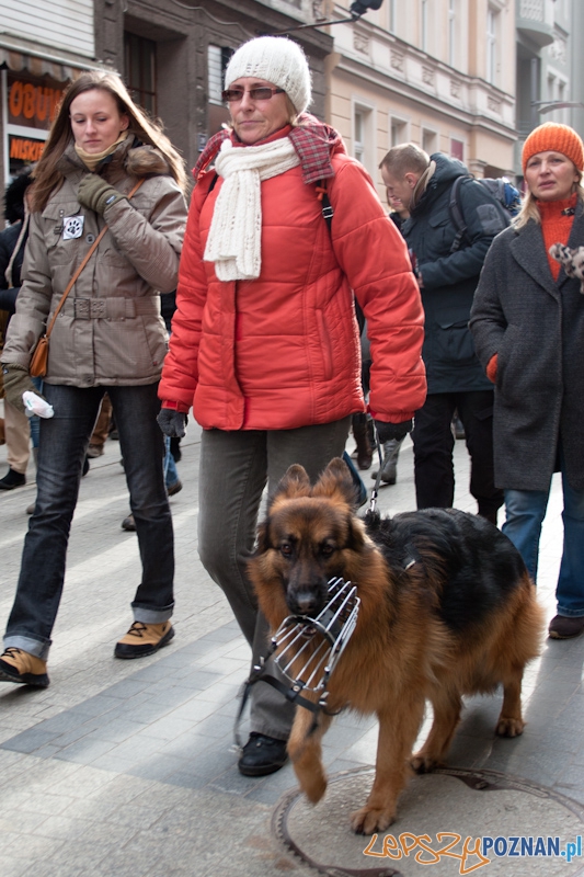 Marsz (NIE) Milczenia w obronie praw zwierząt - 13.02.2011 r.> Foto: LepszyPOZNAN.pl / Paweł Rychter Marsz (NIE) Milczenia w obronie praw zwierząt - 13.02.2011 r.> Foto: LepszyPOZNAN.pl / Paweł Rychter