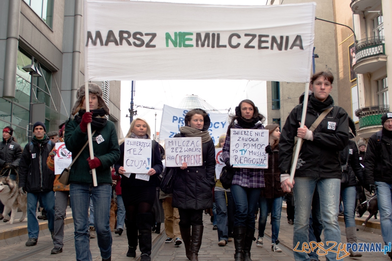 Marsz (NIE) Milczenia w obronie praw zwierząt - 13.02.2011 r.> Foto: LepszyPOZNAN.pl / Paweł Rychter Marsz (NIE) Milczenia w obronie praw zwierząt - 13.02.2011 r.> Foto: LepszyPOZNAN.pl / Paweł Rychter