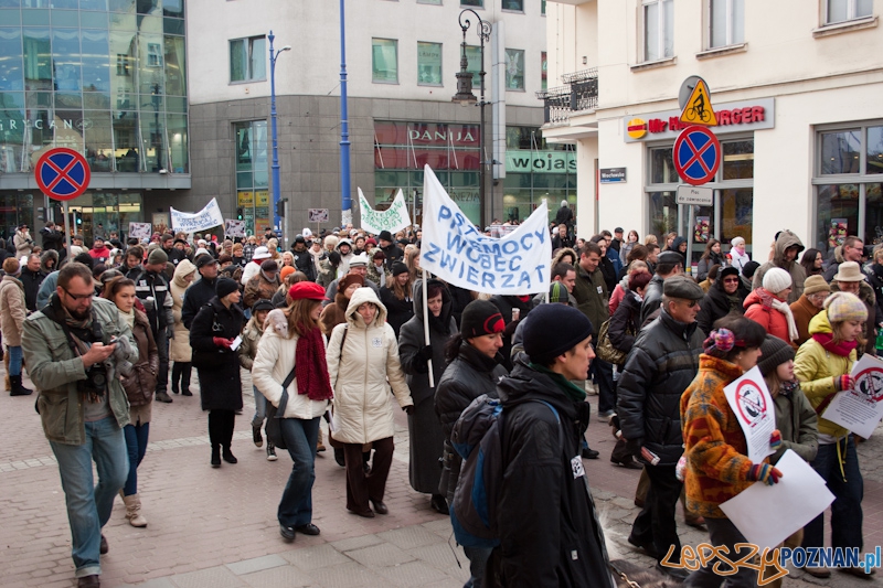 Marsz (NIE) Milczenia w obronie praw zwierząt - 13.02.2011 r.> Foto: LepszyPOZNAN.pl / Paweł Rychter Marsz (NIE) Milczenia w obronie praw zwierząt - 13.02.2011 r.> Foto: LepszyPOZNAN.pl / Paweł Rychter