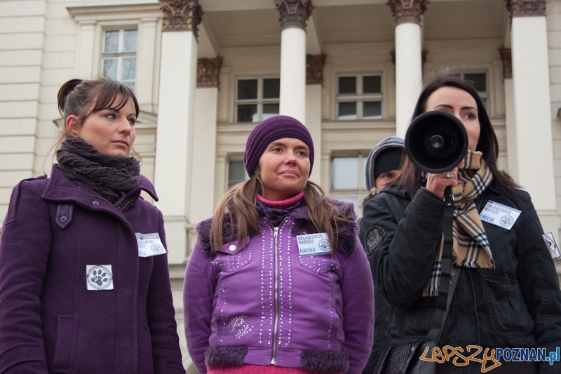 Marsz (NIE) Milczenia w obronie praw zwierząt - 13.02.2011 r.> Foto: LepszyPOZNAN.pl / Paweł Rychter Marsz (NIE) Milczenia w obronie praw zwierząt - 13.02.2011 r.> Foto: LepszyPOZNAN.pl / Paweł Rychter
