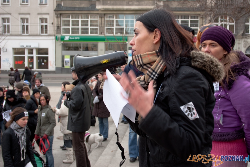 Marsz (NIE) Milczenia w obronie praw zwierząt - 13.02.2011 r.> Foto: LepszyPOZNAN.pl / Paweł Rychter Marsz (NIE) Milczenia w obronie praw zwierząt - 13.02.2011 r.> Foto: LepszyPOZNAN.pl / Paweł Rychter