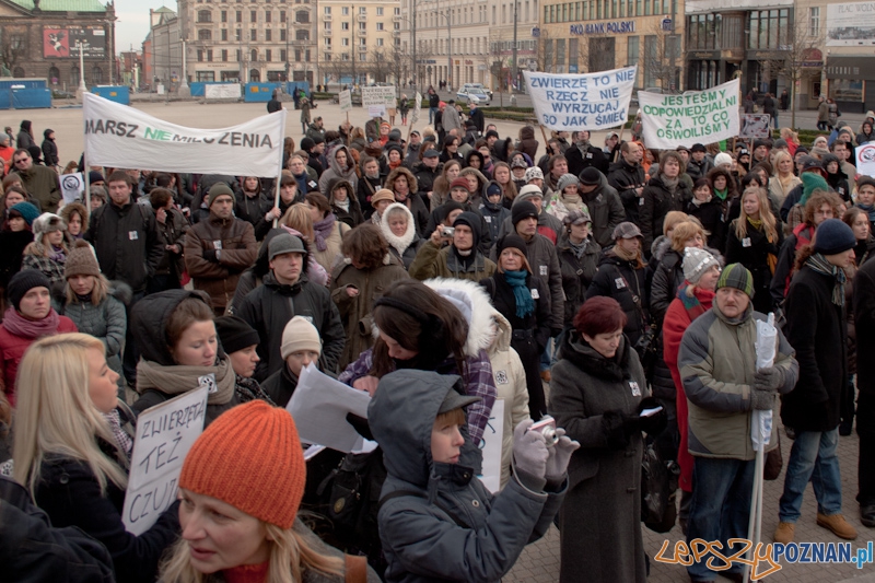 Marsz (NIE) Milczenia w obronie praw zwierząt - 13.02.2011 r.> Foto: LepszyPOZNAN.pl / Paweł Rychter Marsz (NIE) Milczenia w obronie praw zwierząt - 13.02.2011 r.> Foto: LepszyPOZNAN.pl / Paweł Rychter